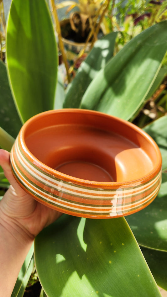 Kfar Menachem Ceramic Hand Decorated Bowl