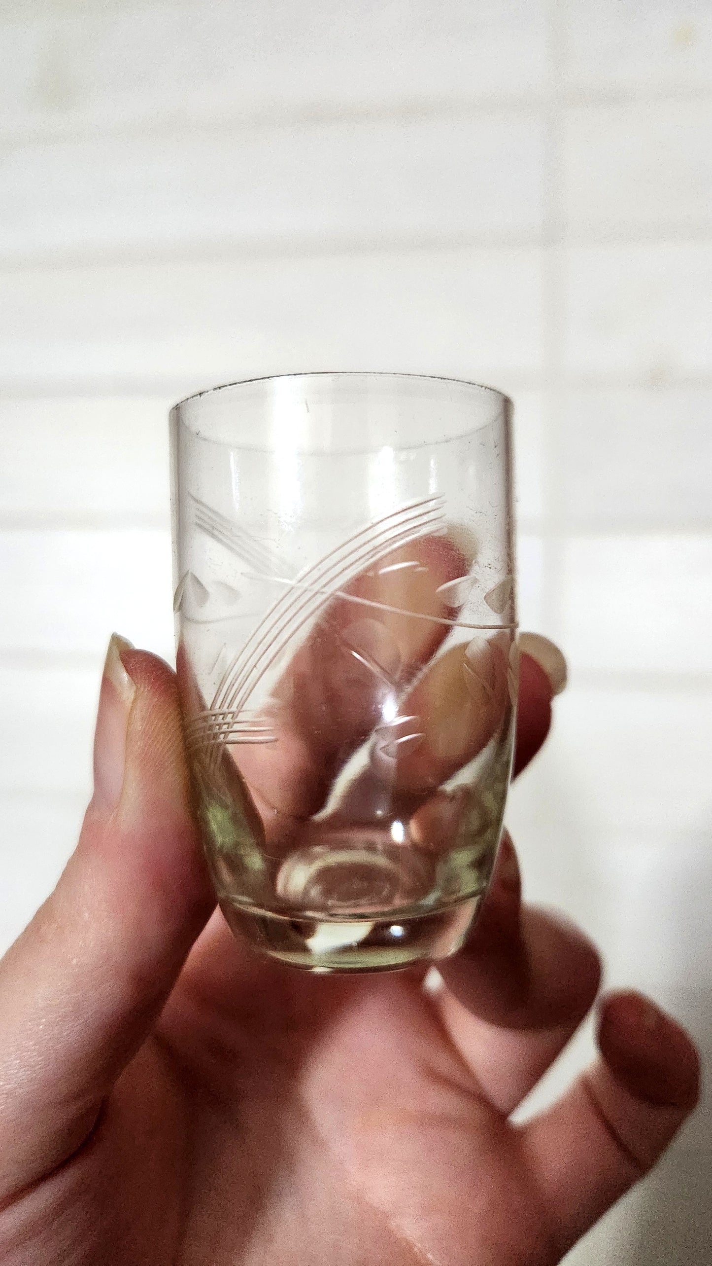 GAVISH Israel Hand-Cut Etched Shot Glass Set