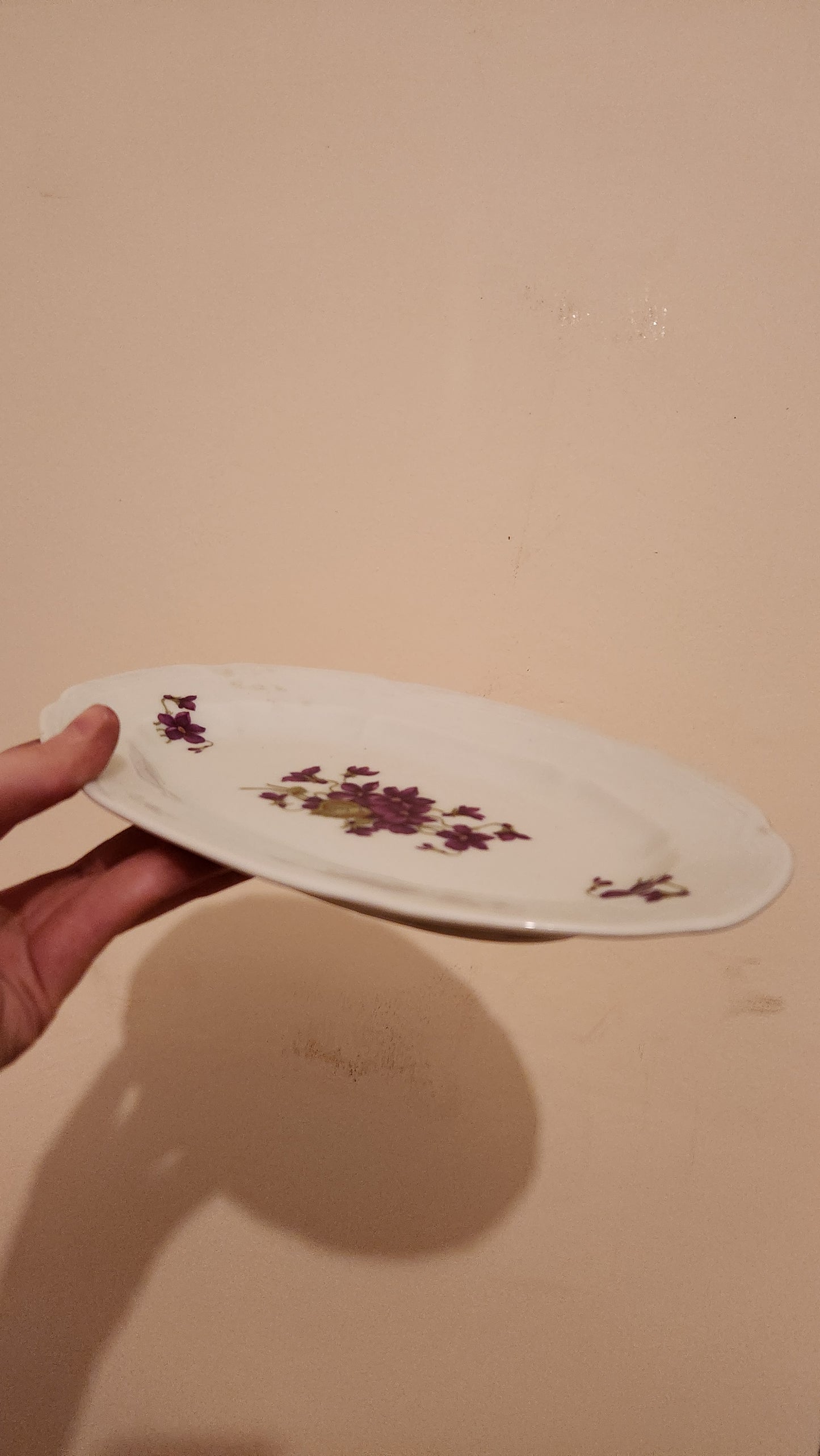 set of 2 vintage Schumann Arzberg Bavaria Violette platters