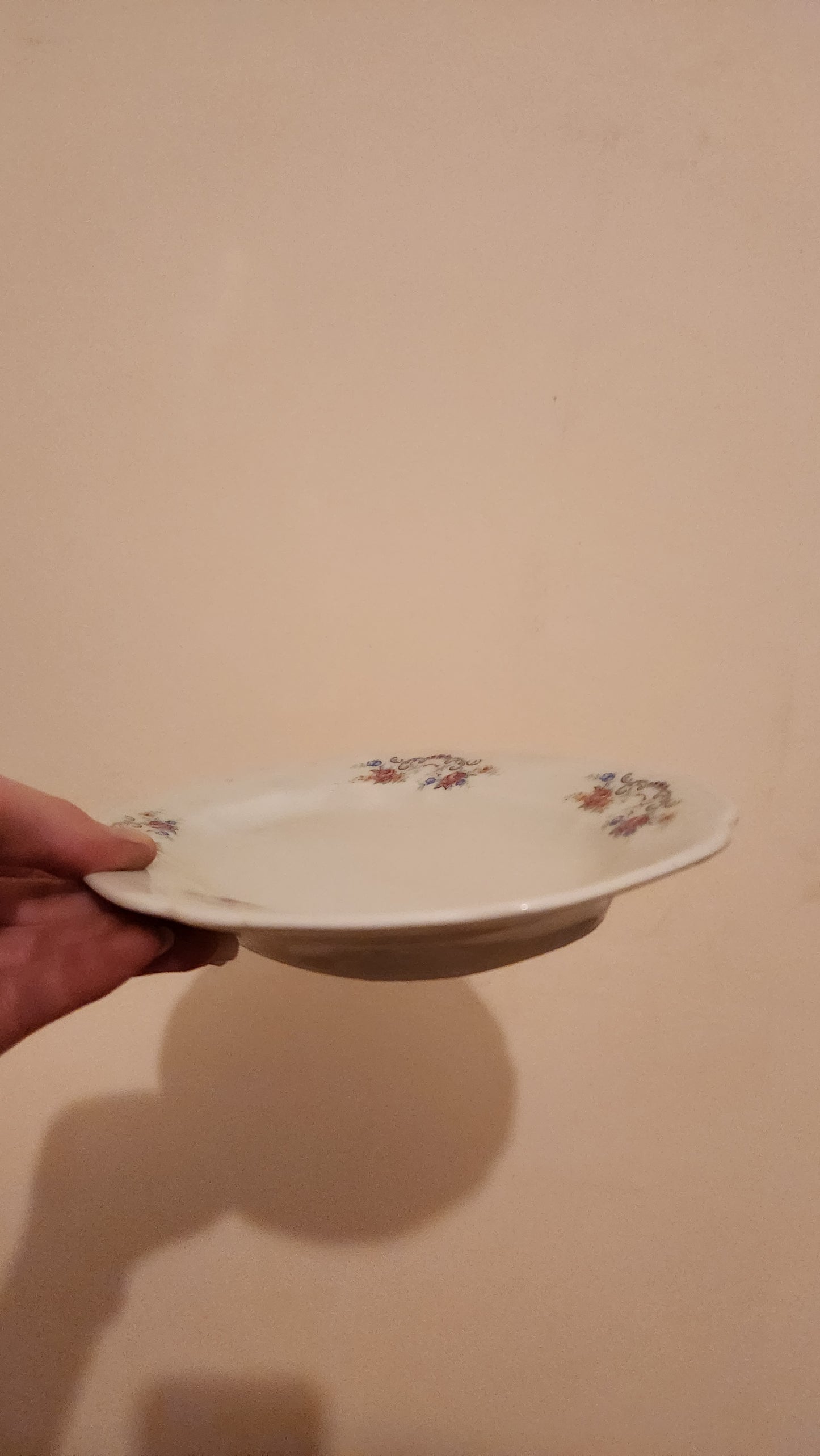 set of 2 vintage Schumann Arzberg Bavaria Violette platters