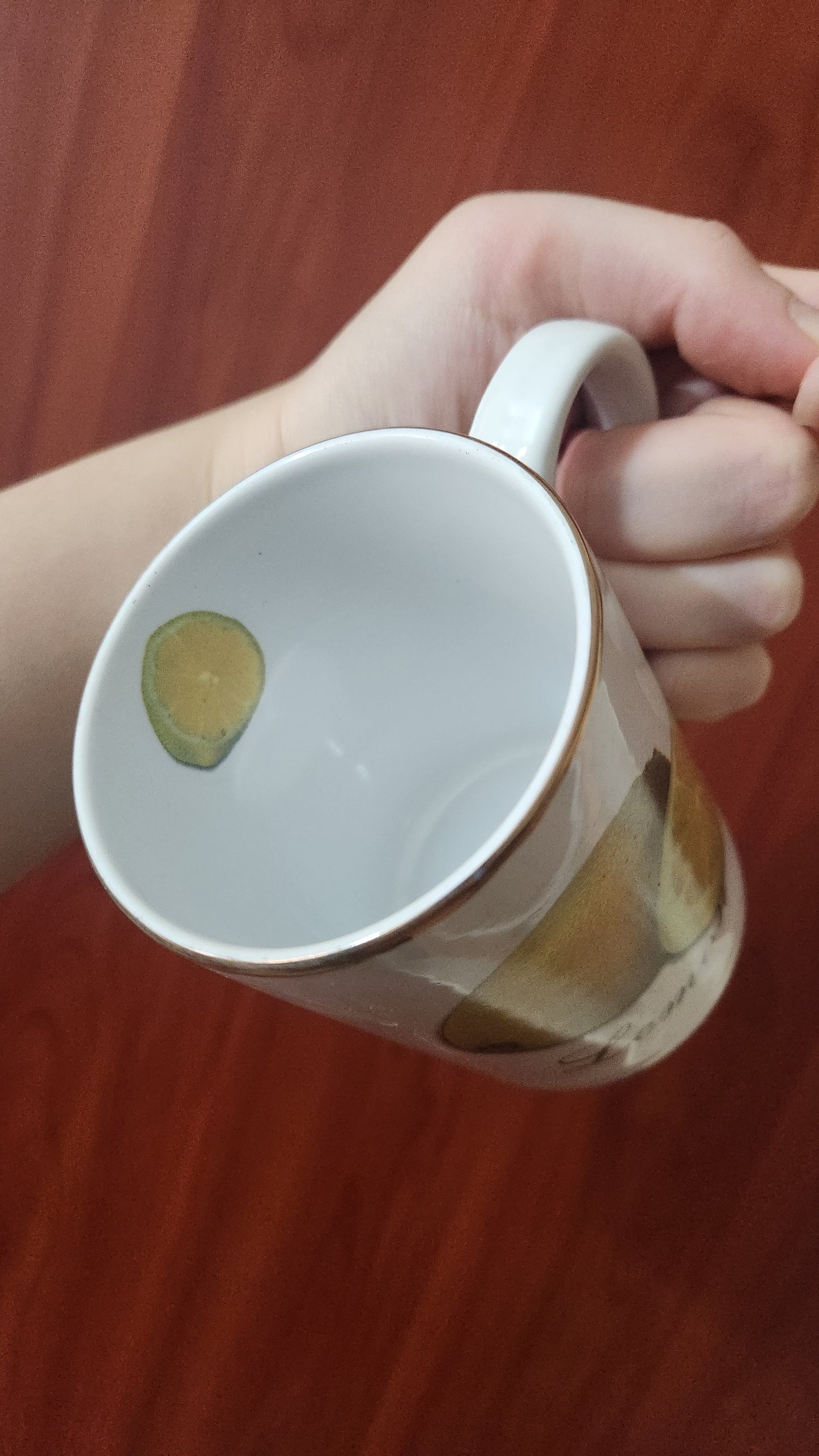 set of 6 fruit themed "art collant" mugs