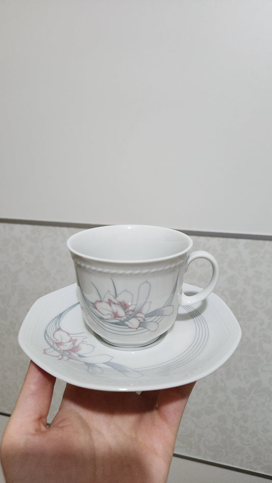 Schirding Bavaria 12-piece Porcelain teacup and saucer set