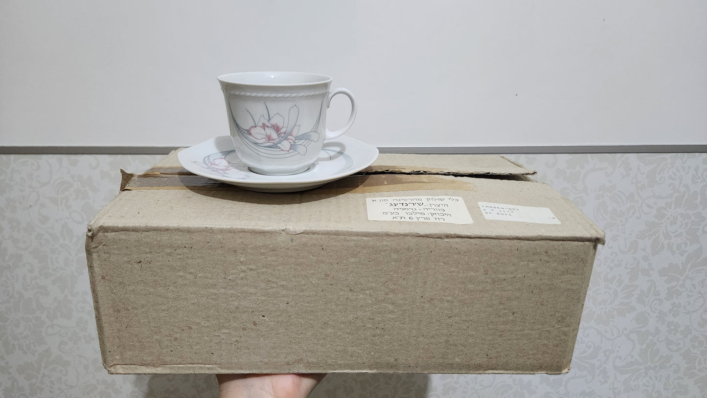 Schirding Bavaria 12-piece Porcelain teacup and saucer set