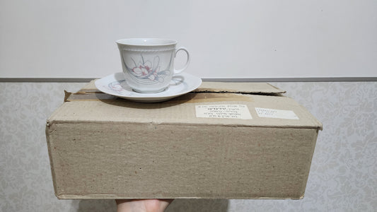 Schirding Bavaria 12-piece Porcelain teacup and saucer set