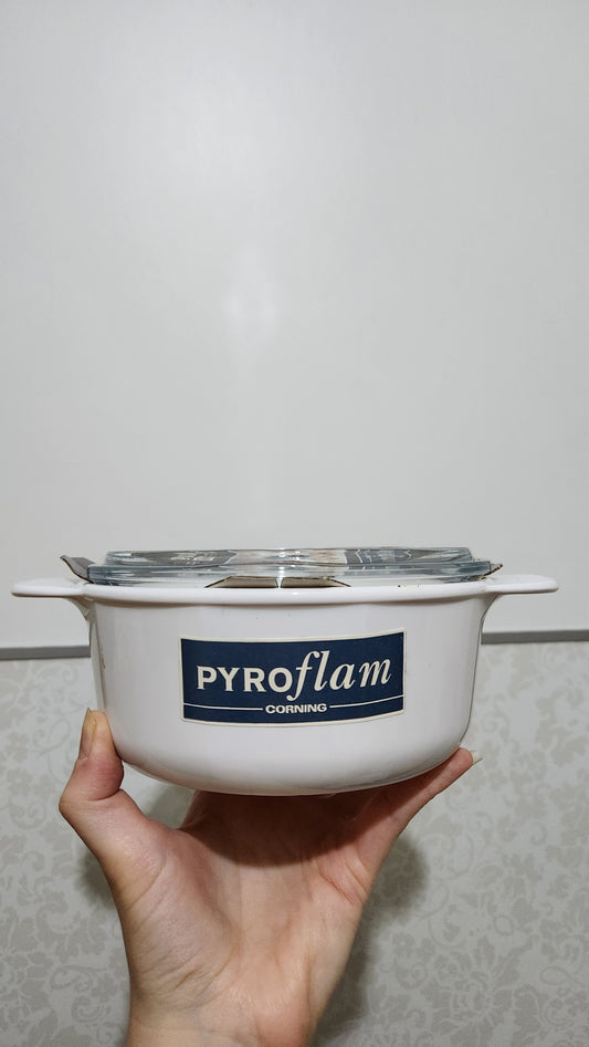 Set of 4 French Corning Pyroflam casserole dishes