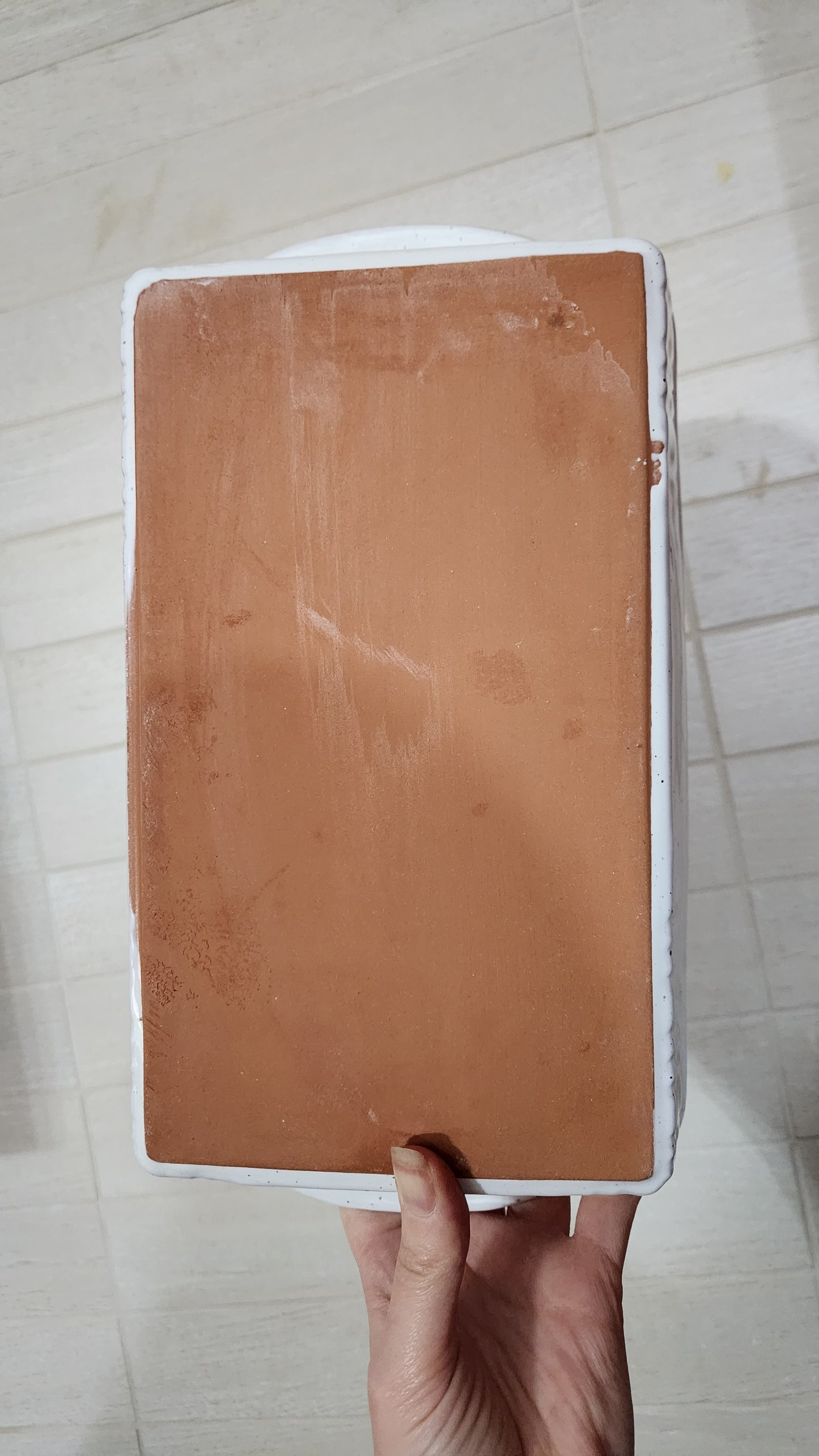 Italian Terracotta Lasagna & Spaghetti Baking Dishes