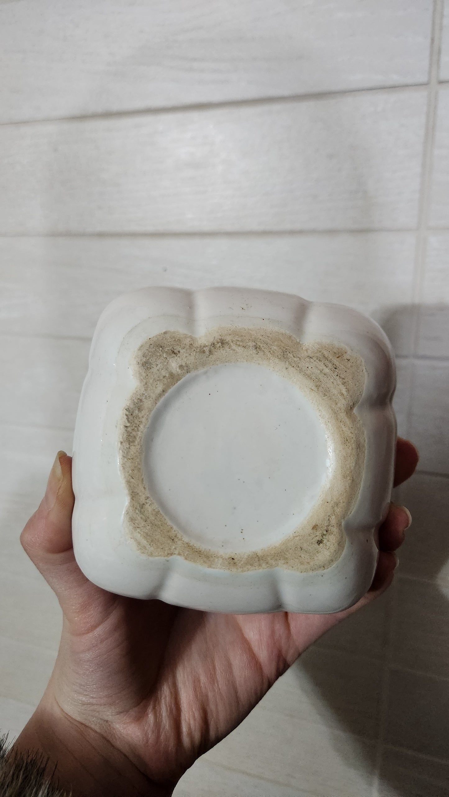 Palceramic "Nahariya" Ceramic Trinket Box
