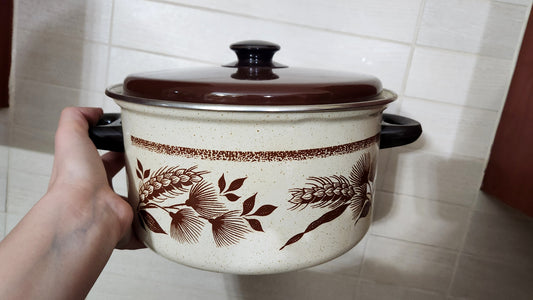 Danya Email Set - 2 pots & 2 pans - Alumaclad Bottom