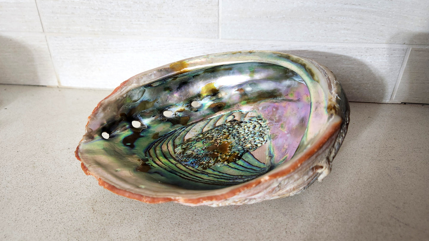 Large Polished Natural Red Abalone Shell bowl