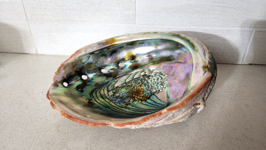 Large Polished Natural Red Abalone Shell bowl