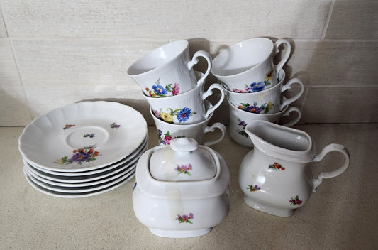 Winterling Kirchenlamitz Bavaria Floral Tea/Coffee Set