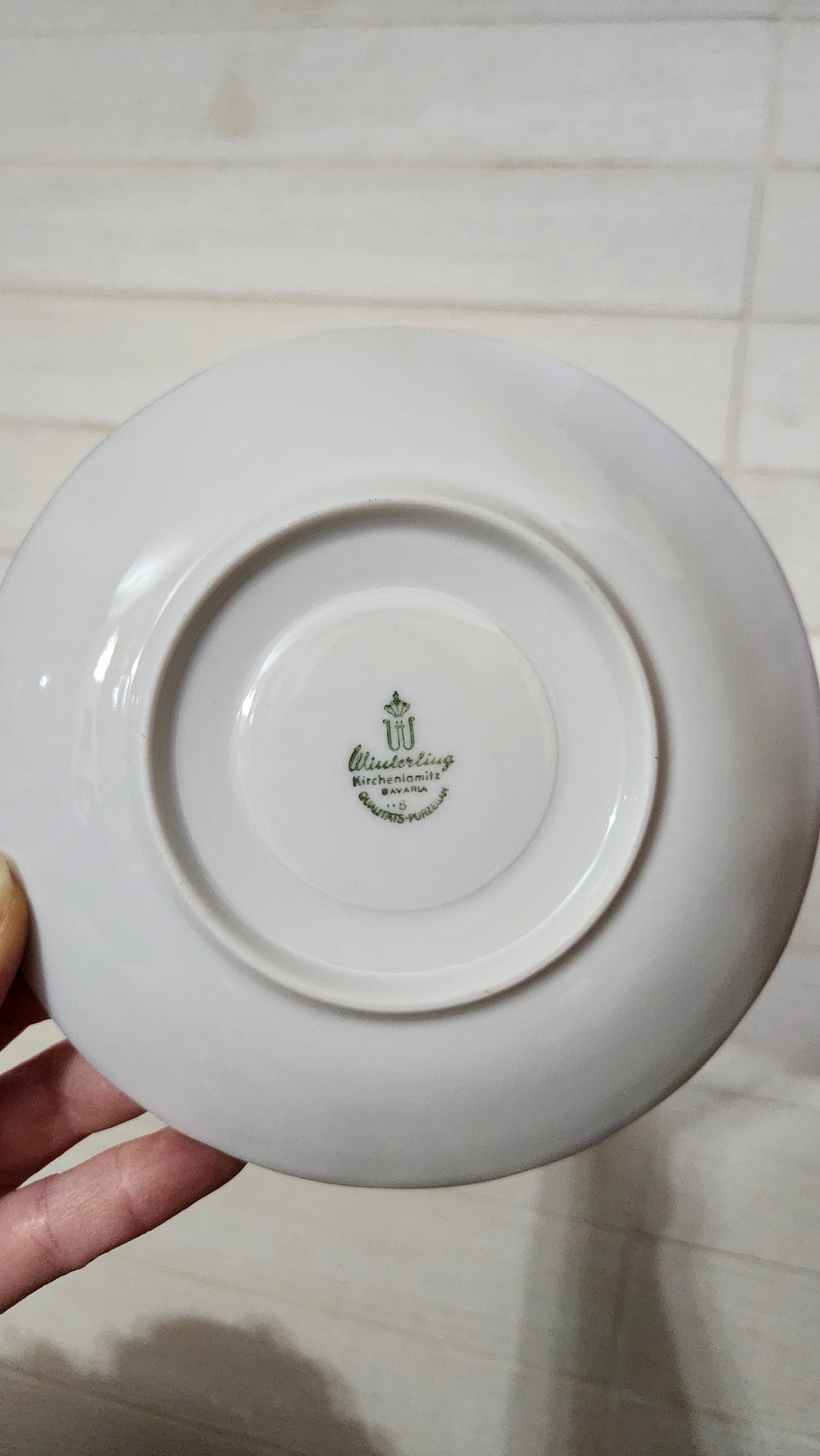 Winterling Kirchenlamitz Bavaria Floral Tea/Coffee Set