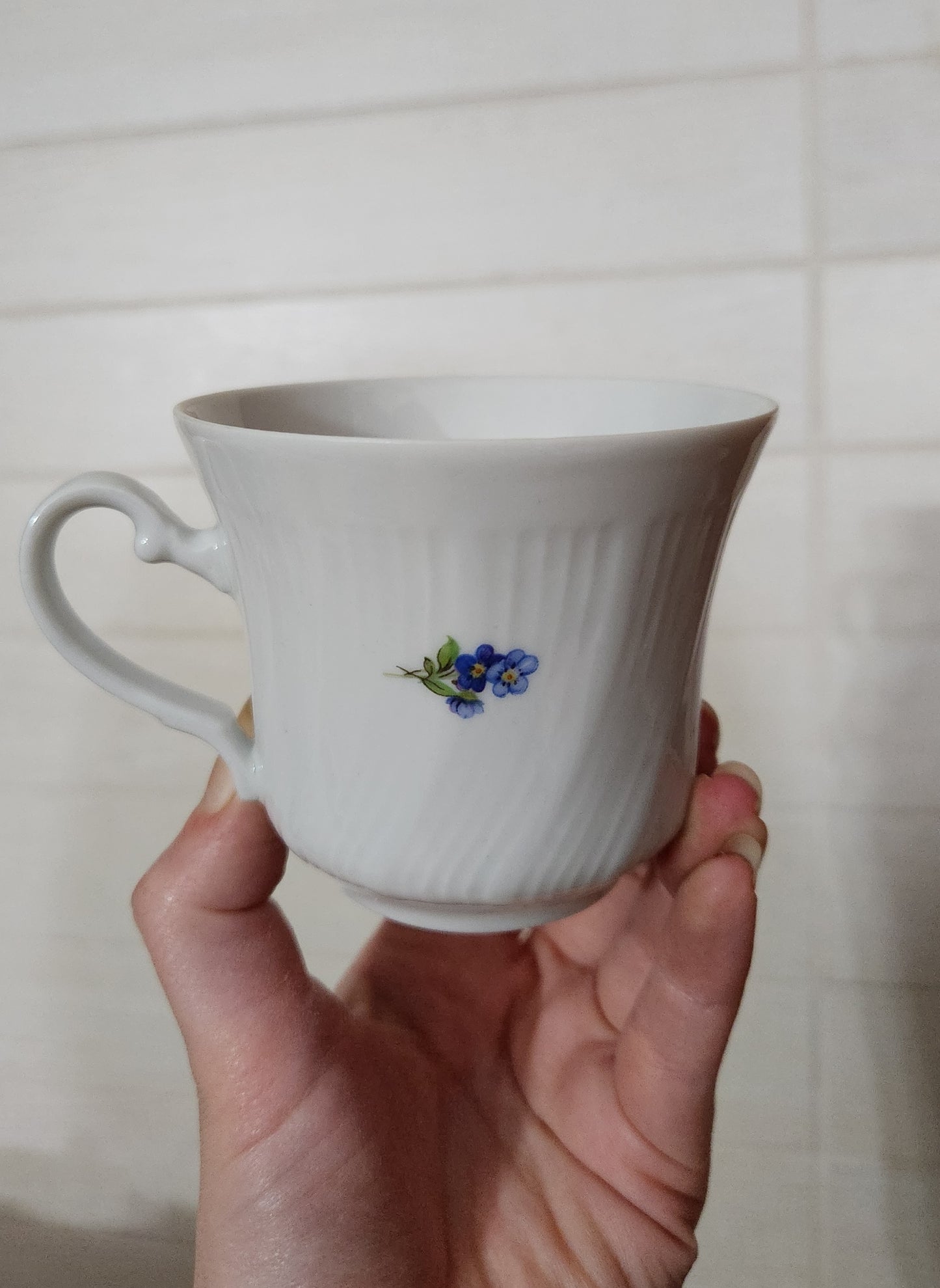 Winterling Kirchenlamitz Bavaria Floral Tea/Coffee Set