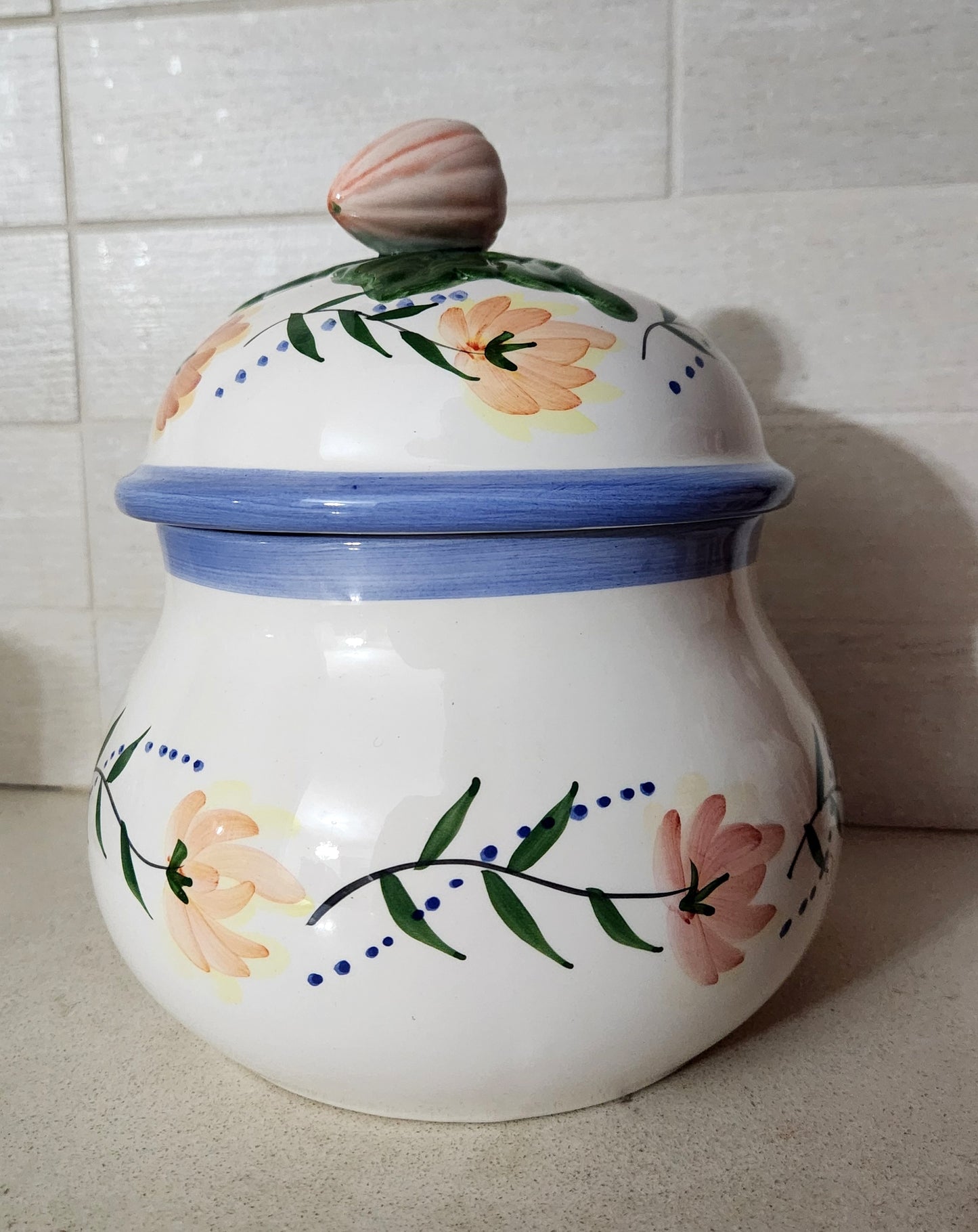 Lapid Hand-Painted Ceramic Canister/Jar with Lid
